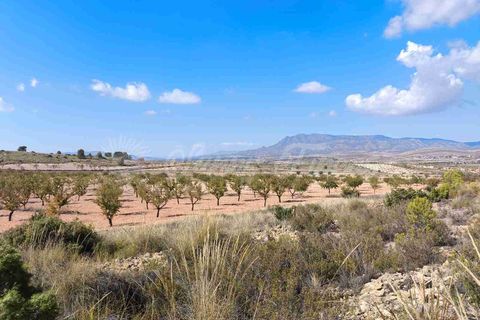 Helårsgrund i Jumilla, Murcia, Jumilla - € 29.900 | Ref: SF0544 - foto 6